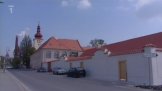 Dobrovice