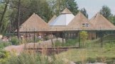 ZOO Plzeň