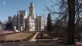Restaurátor Petr Johanus