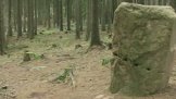 Kounovské kamenné řady