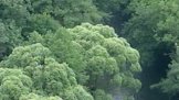 Mohelno