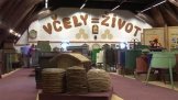 Muzeum včelařství
