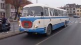 Staré autobusy