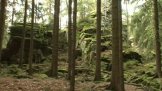 Park Čeřínek