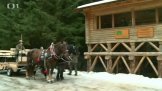 Pozorovací srub v Borových Ladech