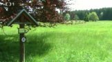 Kladská