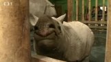 Zoo Plzeň