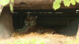 Zoo Tábor