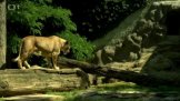 Zoo Olomouc
