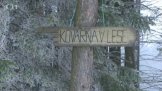 Kovárna v lese