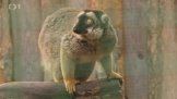 Zoopark Zájezd