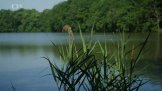 Cyklovýlet  Vodňany – Pražák