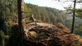 Růžovský vrch