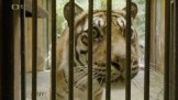 Zoo Brno