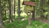 Za prameny na Pancířském hřbetu