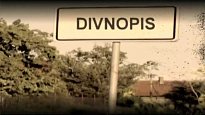 Divnopis