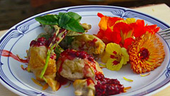 Smažené květy cukety s květinovým salátem a malinovou redukcí