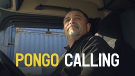Pongo Calling