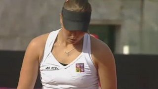Fed Cup 2010