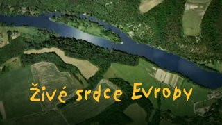 Živé srdce Evropy: Plešné jezero