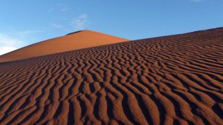 Poušť Namib - boj o přežití