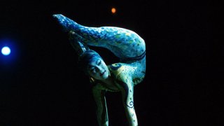 Cirque du Soleil: Alegría