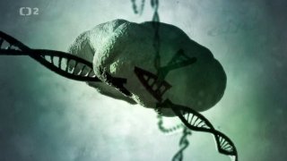 Analýza DNA - výzvy pro moderní medicínu
