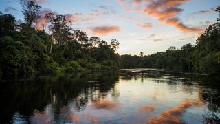 Velké řeky světa - Amazonka