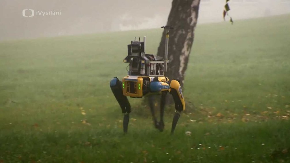 Robotický pes