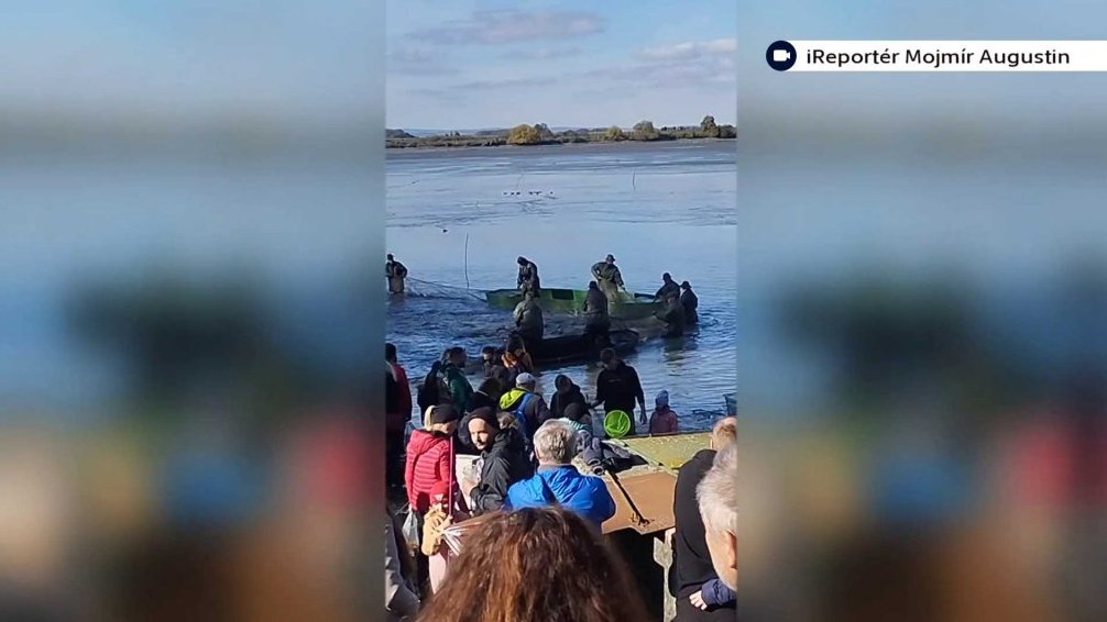 Výlov rybníku Tovačov