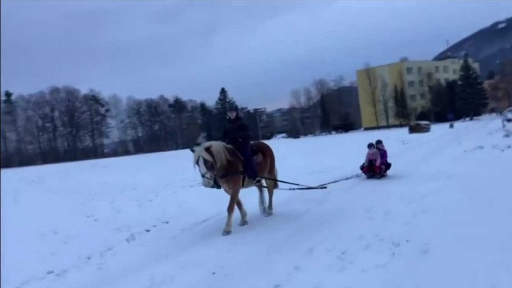 J&iacute;zda na san&iacute;ch zapřažen&yacute;ch za koněm