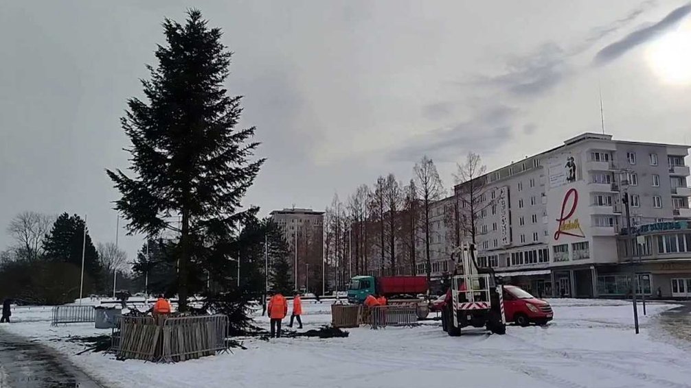 K&aacute;cen&iacute; v&aacute;nočn&iacute;ho stromu v Hav&iacute;řově