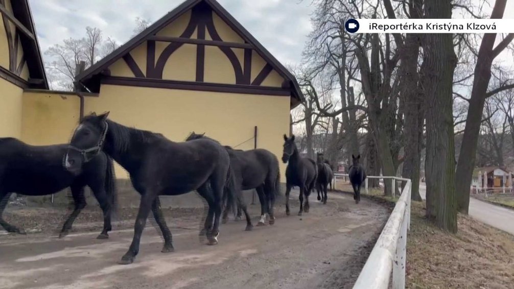 Vranky ve Slatiňanech