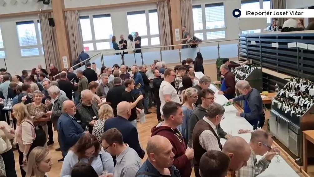 Ko&scaron;t v&iacute;na ve Str&aacute;žnici