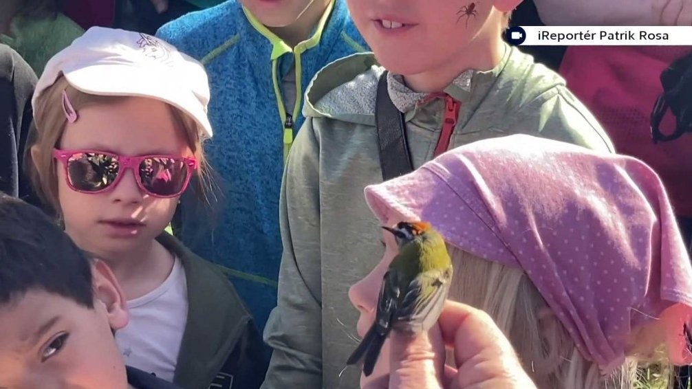 V&iacute;t&aacute;n&iacute; ptač&iacute;ho zpěvu v Podbřež&iacute;