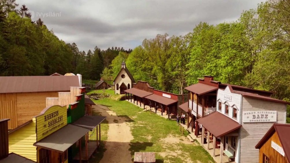 Bič