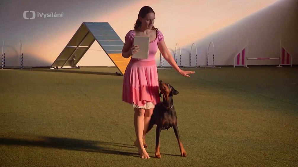 Dogdancing