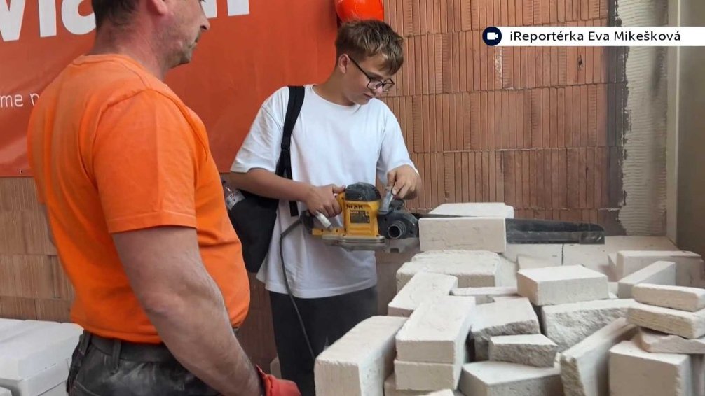 Festival dřeva v Bystřici pod Host&yacute;nem