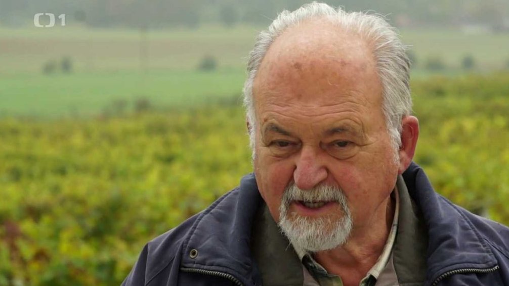 Léčivé houby