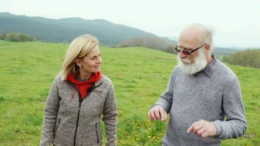 Síla bylin kolem slunovratu