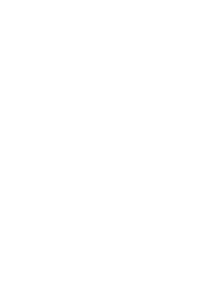 Lights Camera Intern