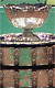 Davis Cup 1980