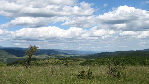 Divočina bez hranic: Aggteleki Nemzeti Park