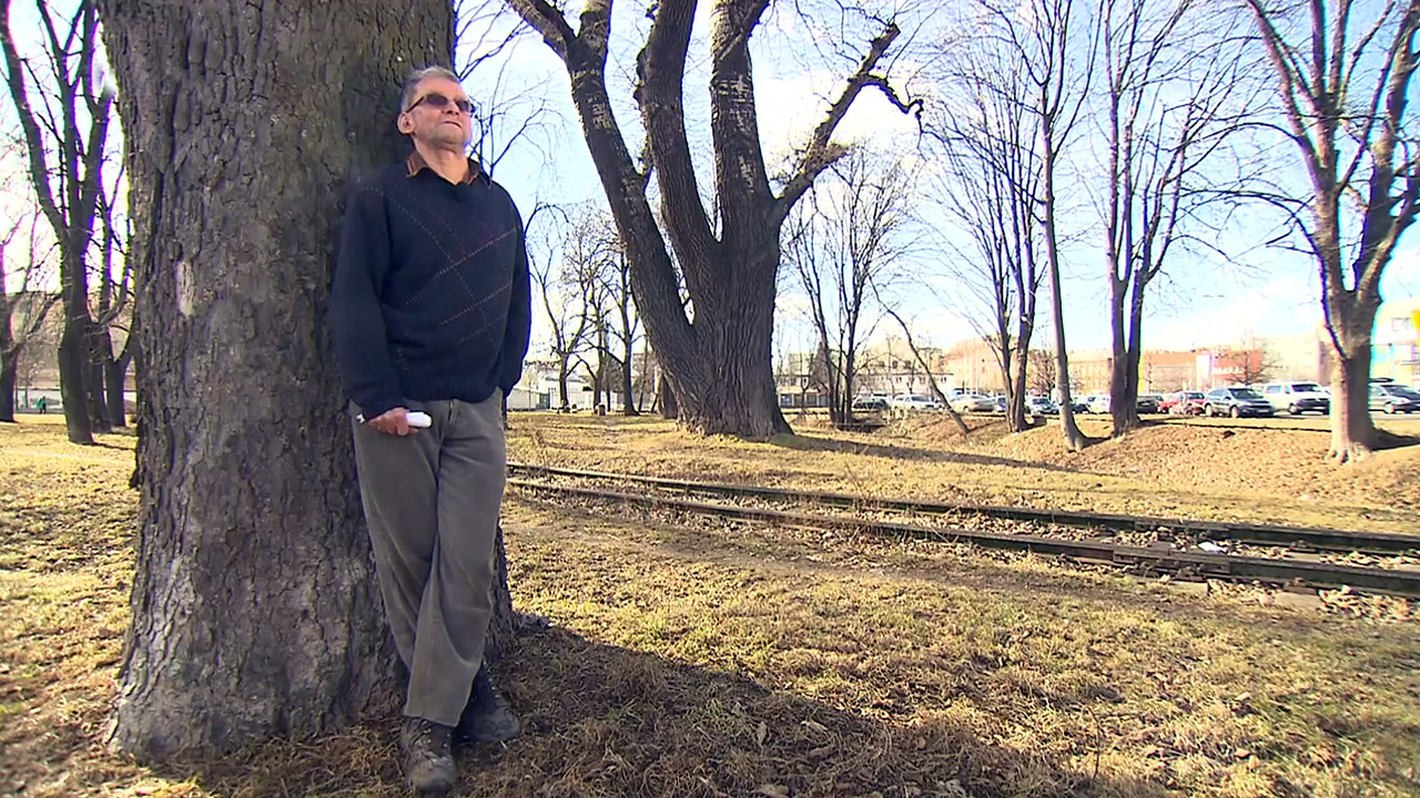 Nedej se!: Účast veřejnosti v ohrožení