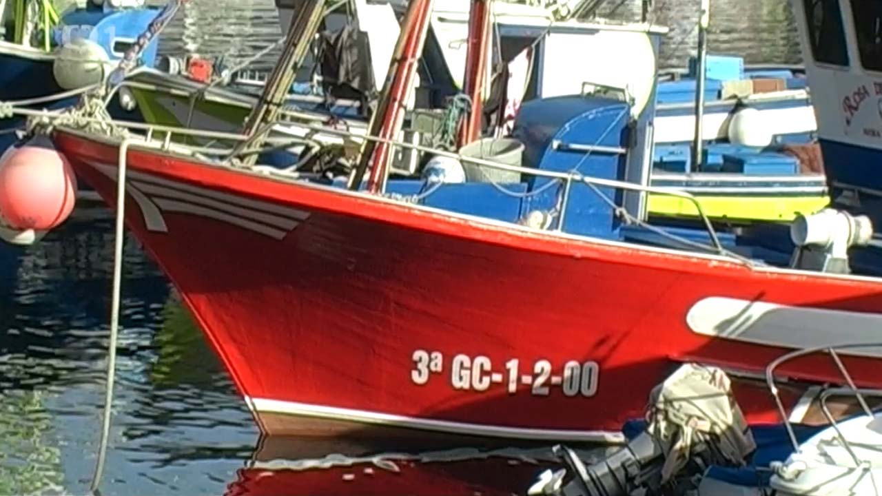 česká