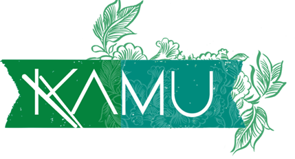KAMU ve Vietnamu