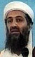 Bin Ládinové: dynastie teroru