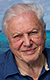 David Attenborough – v devadesáti stále za kamerou