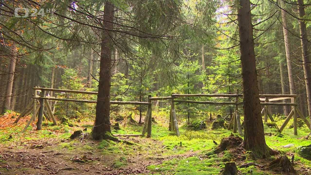 Výlov rybniku Amerika ve Františkových Lázních