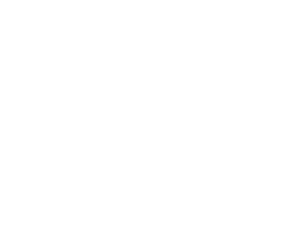 25. Český lev